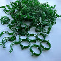 Secured PlasticTomato Vine Clips Support Clips Climbing Plants Garden Clips, Plastic Tomato Grape Vine for Flowers Stem Vine Fixing Clip， (green)