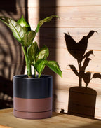 D'vine Dev 6.5 Inch Ceramic Planter Pot with Drainage Hole and Saucer, Indoor Cylinder Round Planter Pot, Black/Speckled Tan, 94-O-C-7