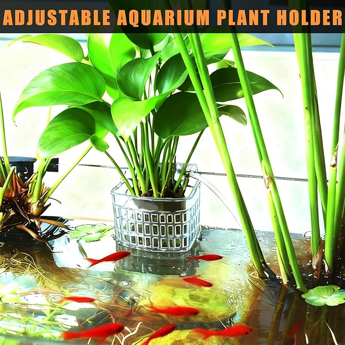 2pcs Upgraded Adjustable Aquarium Plant Holder，Fish Tank Plants Holder,Fish Tank Aquaponics Plant Cultivation and Aquarium Landscape Decoration with Hooks and Suction Cup(Transparent)