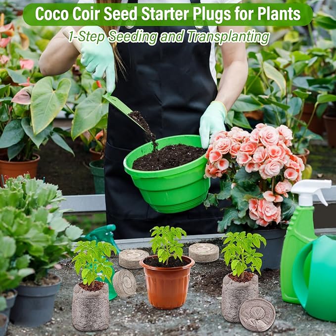 Legigo 50 PCS 35mm Coco Coir Pellets Seed Starter Pods, Compressed Seed Starting Coconut Coir Pellets Soil Plugs for Seedlings, Seeds Plant Starter Pods for Garden Planting Herbs Flowers Vegetables