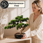 Artificial Bonsai Tree 16" Tall with Realistic Wood and Ceramic Pot, Fake Plants for Home, Bedroom and Office Desk, Japanese Decor