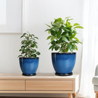 Ceramic Plant Pots 3 Pack - 10 Inch 8 Inch 6 Inch Round Modern Planters with Drainage Holes and Saucers, Flower Pots for Indoor Outdoor, Room Garden House Decor, Gift for Women Men, Blue