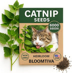 Catnip Seeds for Planting Indoors and Ourdoors - 𝗡𝗢𝗡-𝗚𝗠𝗢 Cat Nip Seeds (Bulk Pack) Heirloom Herb - Made in 𝗨𝗦𝗔 - High Germination Rate - Plants for Cats and Humans (Nepeta Cataria)