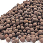 FANTIAN 5 lbs Clay Pebbles for Plants, 8-12 mm Leca Clay Balls for Indoor Plants, Orchid Potting Mixes, Hydroponic Growing, Aquaponics, Potted Top Dressing and Drainage