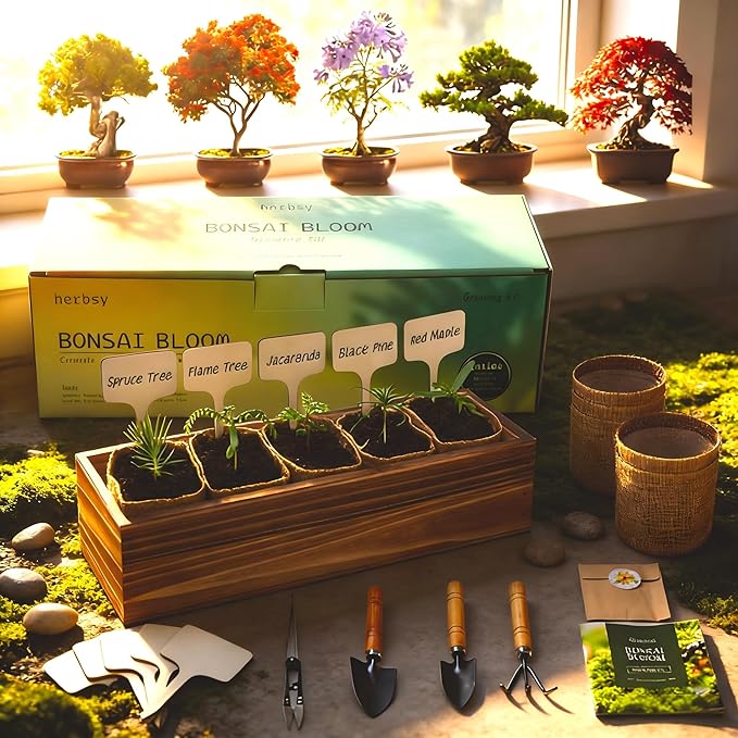 5 Pack Bonsai Tree Kit with Complete Tools, 5X Unique Seeds Bonzai Tree Kits, Indoor Bonsai Starter Kit with Wooden Box, Perfect Christmas Garden Gift for Mom, Men, Women, Plant Lover
