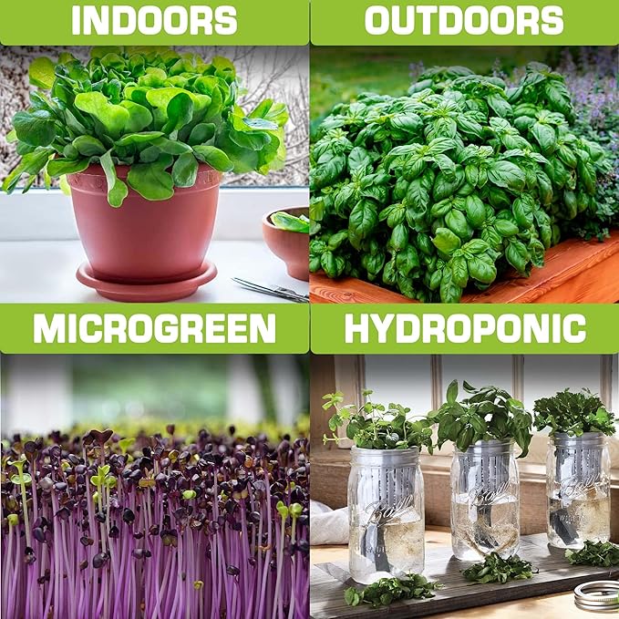 Supreme Set of Heirloom Medicinal Herb, Lettuce, Greens and Salad Seeds - USA Grown - Total 24 Individual Non-GMO Heirloom Seeds for Planting Home Garden Indoor Outdoor and Hydroponic
