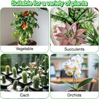 Perlite,Premium Oraganic Perlite Soil Amendment for Plant,Porous Volcanic Rock, Aeration & Drainage Enhancer, Ideal for Succulents, Flower Plants, Hydroponics-4 QT