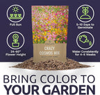 Bulk Cosmos Seeds Wildflower Mixture - 1 Pound Bag - Over 80,000 Seeds - Pink, Yellow, Orange, Red, Purple and White Mixed Species!