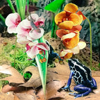 Chuangdi 2 Pieces Artificial Phalaenopsis with Suction Cups Terrarium Plant Decoration Reptile Habitat Plant Decor for Hermit Crab Lizards Geckos Snake Reptile (Purple, Yellow)