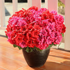 AGIRL 6 Bundles Artificial Geranium Flowers for Outdoors Spring Decor Geraniums Silk Flowers UV Resistant Lifelike Faux Flowers for Outdoor Garden Patio Porch Balcony Home Decor(Red 3,Rose Red 3)