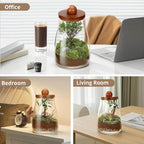 Desktop Glass Plant Terrarium with Grow Light, for Moss, Succulent, Miniature Gardening Landscape, Betta Fish Tank, Desktop Decorations for Home and Office, Plant Lovers Gift (2.7L, H:8.3" D:6.1")
