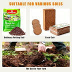 Self-Watering Cat Grass Planter (no Seed Included), with Drainage Holes and Anti-Digging Design, Wheat Grass Growing Pot, Cat Grass for Indoor Cats Pets (1)