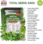 Assorted Collection of Spice Herb and Green Lettuce Seeds - Non GMO USA Grown - 34 Heirloom Varieties for Hydroponic Indoor and Outdoor Planting - Salad and Tea Seeds for Home Growing