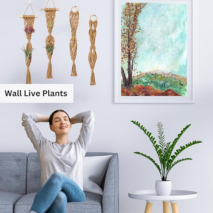 4 Pack Air Plants Holders, Wall Planters for Indoor Plants | Macrame Plant Hanger, Air Plant Hanger for Air Fern, Tillandsias, Live Houseplants & Succulent (NO Plant Included)