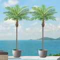 10ft Tall Artificial Phoenix Palm Tree for Outdoor Indoor Decor, Large Faux Coconut Silk Palm Tree Tropical Fake Tree Perfect for Outside Patio Poolside Home Office Decor (Set of 2)