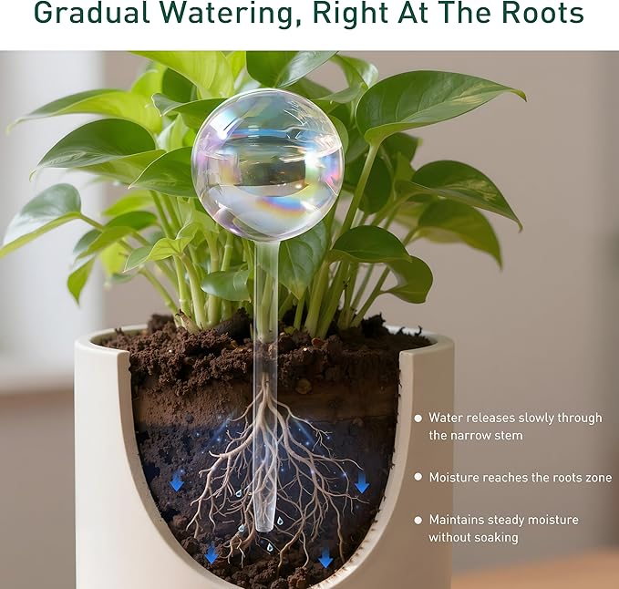 Soilagua Extra-Thick Clear Glass Plant Watering Globes, Rainbow Gradient Self Watering Globes, Automatic Plant Waterer, Self Watering Planter Insert Spikes Devices for Everyday or Vacation Use, 2-Pack
