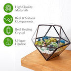 Creations by Nathalie DIY 7" Geometric Terrarium Kit - Build Your Own Glass Terrarium for Adults & Teens with Moss, Crystals, Tools & Decor - Handcrafted in the USA (Live Plant Included)