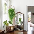 RECUTMS Hanging Money Plants Fake Outdoor Hanging Artificial Flower for Outdoors Hanging Basket Hanging Artificial Plants Plastic Plants Home Garden Wedding Party Decorations