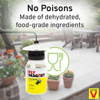 Terro T380 Outdoor Reusable Fly Magnet Fly Trap - Poison Free Trap with Bait (Pack of 2)