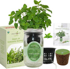 Hydroponic Herb Growing Kit, Self-Watering Mason Jar Herb Garden Starter Kit Indoor, Windowsill Herbs Garden, Grow Your Own Herbs from Organic Seeds (Lemon Balm)