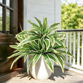 4Pcs Fake Ferns, Faux Outdoor Plants UV Resistant,3D Real Touch Fake Plants Total 60 Blades,Weatherproof Artificial Plants Outdoor Indoor for Garden Porch Home Office Decor
