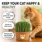 Cat Grass Kit for Indoor Cats – x3 Seed Packets | Cat Grass Seeds with Recyclable Planter & Coconut Coir Expanding Soil Discs – Wheatgrass Grass