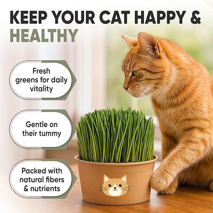 Cat Grass Kit for Indoor Cats – x3 Seed Packets | Cat Grass Seeds with Recyclable Planter & Coconut Coir Expanding Soil Discs – Wheatgrass Grass