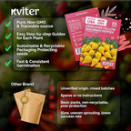 KVITER 25 Yellow Biquinho Pepper Seeds (Capsicum Chinense) - Sweety Drop Peppers, Mild Heat, High Yield, Heirloom, Non GMO Seed Packets - Vegetable Seeds for Gardens, Raised Beds, Greenhouses