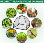 DECOHS 2 Pcs Pop-Up Mesh Plant Cover Tent, 22 x 22 x 22 Inch Garden Net Cage Guard Cover, Plant Protector Enclosure with 12 Ground Stakes for Protecting Plants Vegetable Fruit from Birds Insects