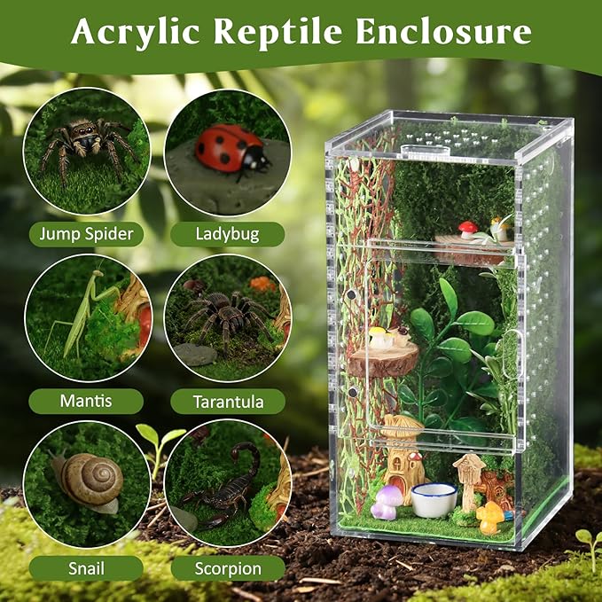 Jumping Spider Enclosure Kit, Small Acrylic Reptile Terrarium with Magnetic Door, Bug Habitat with 30 Pcs Jumping Spider Accessories for Tarantula, Mantis, Small Reptiles, 4" x 4" x 8"