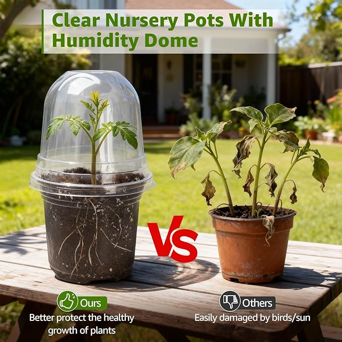 MIXC Clear Nursery Pots with Humidity Domes, 5/4/3.5 Inch Reinforced Transparent Plastic Pots for Planting with Drainage Holes for Seedlings, 30 Pack