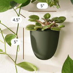 Make Good PlantPod Luxe - Self-Watering Wall Planters (Set of 6, Forest Green) - Easy to Water and Install - Lightweight - Design Your Own Vertical Garden - Wall Planters for Indoor Plants