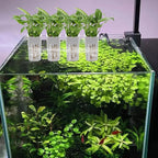 4 PCS Aquarium Plant Holder, White Wall Mounted Basket for Fish Tank Aquaponic Plant Cultivation and Landscape Decoration, 1.97 x 1.77 x 3.74 Inch