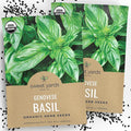 Organic Basil Seeds ‘Genovese’ – Two Seed Packets! – Over 496 Open Pollinated Non-GMO Italian Seeds – Sweet Yards Seed Co.