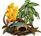 Crested Gecko Terrarium Decor Kit - 5PCS Rainforest Tank Accessories with Coconut Hide, Climbing Vines, Leaf Platform & Artificial Plants - Habitat Enrichment for Humidity & Hiding (Yellow)