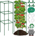 Lezmarket 2 Pack Tomato Cages for Garden, Tomato Trellis for Raised Garden Bed with Plant Clips and Twist Ties for Climbing Plants, 43 inches ﻿ ﻿