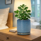 D'vine Dev 6 Inch Ceramic Beaded Stoneware Planter Pot - Flower Pot with Drainage Holes and Saucers for Indoor Succulent Plants or Flowers, Ocean Teal, 27-C-X-8