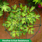 Sekcen 3 Pack 16 x 24 Inch Peony Support Cage Grow Through Plant Supports for Outdoor Plants Peony Ring Hoop Grow Through Grid Stakes
