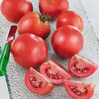 Bonnie Plants Early Girl Tomato 19.3 oz. 4-pack