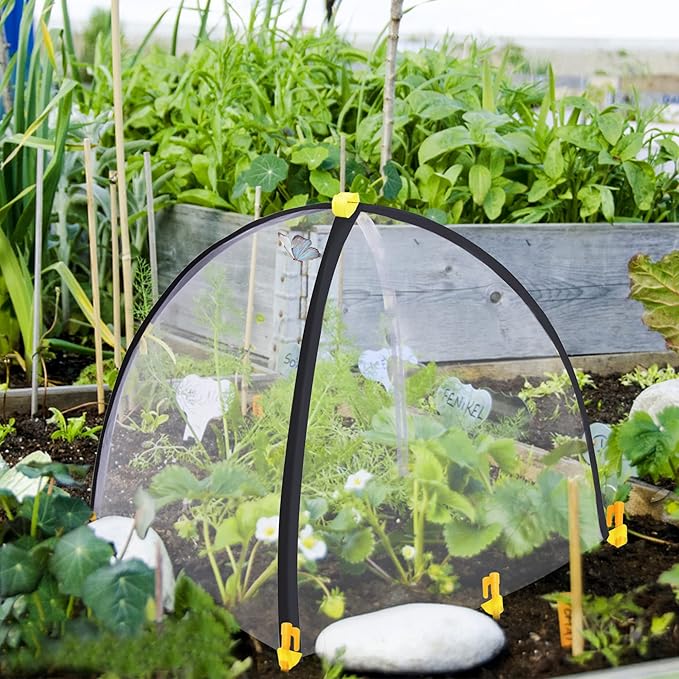 PURPLE STAR 1N 22 x 22 x 23 Inch Insect Barrier Plant Tent Cover-Bug Guard Cover with Stakes-Insect Bird Barrier Netting Mesh for Protect Vegetable Plants Fruits Flowers from Birds Animal Eating(S)