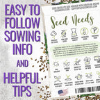 Seed Needs Rosemary Seeds for Planting - Non-GMO Heirloom & Untreated Perennial Herbs to Plant a Medicinal & Culinary Kitchen Garden Indoors or Outdoors (5 Packs)