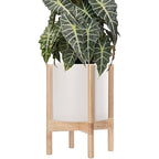 D'vine Dev Planter Pot with Stand - 10 Inch Plastic Cylinder Flower Pot with Wood Planter Holder for Indoor, Oatmeal Pot + Natural Stand, 55-C-M-4