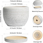 SQOWL Ceramic Plant Pots - 8 inch Planter for Indoor Plants, Round Flower Pot with Drainage Hole and Plant Saucer, Modern Decorative Ceramic Planter Outdoor, Home Room Decor, Garden Gifts, Gray