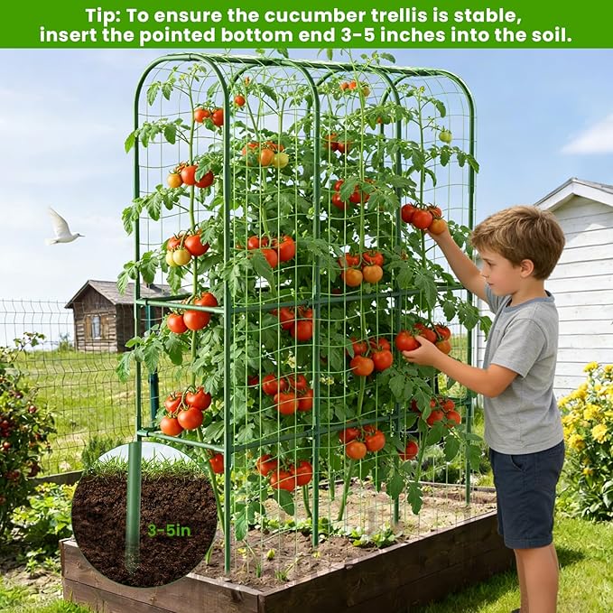 2 Pack 62in Tall Cucumber Trellis for Raised Bed, 51" L x 62" H Metal Garden Trellis for Climbing Plants Outdoor, U-Shape Vegetables Trellis Support for Squash Zucchini