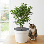 Adnee 10 Pcs 11.8 Inch Plant Pot Grids, Cuttable Plant Pot Soil Covers Protectors from Animals, Indoor Round Planter Pots Soil Guard for Outdoor Garden Plants Protection