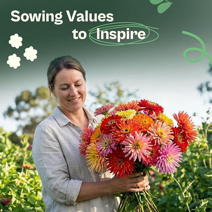 SVI 550 Mix Cactus Zinnia Seeds for 2026 (Zinnia elegans) – Giant Zinnias Super Seed Mix, Giant Flowers Seed Packets Bulk – Cut Flower Seeds to Plant Outside & Indoor Garden Flowers Bed, Containers