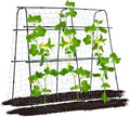 Garden Trellis for Climbing Plants Outdoor, 5.3x5.3ft Garden Trellis Climbing Plant Support Plastic-Coated Metal U-Shaped Vine Vegetables Tomato Cucumber Trellis Raised Bed, with Netting, Black