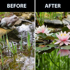 CrystalClear Thrive Aquatic Pond Plant Food, Fish Safe Water Garden Fertilizer, Nutrients Boost Lily & Lotus Flower Bloom & Root Growth, 60 Tablets