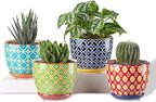 Metahom Succulent Ceramic Pots, 3.8 Inch Small Plant Pots with Drainage Hole & Saucer, Flower Planter Pot for Houseplants, Cacti, Home Decor, Set of 4, Vibrant Colors