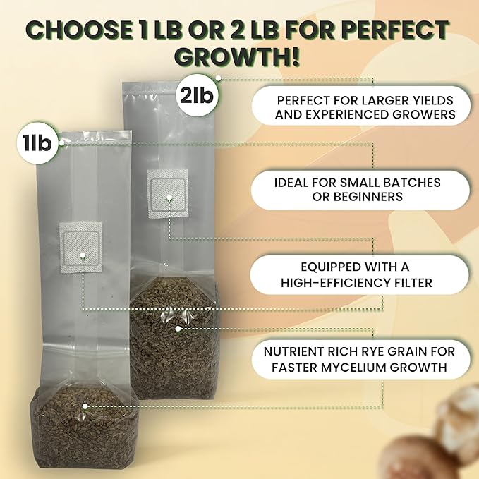 MycoHaus Mushroom Growing Kit | Sterilized Rye Grain | Magic Indoor Grow Bags for Mushrooms | Shroom Home Cultivation Magic Supplies | Without Spores | Without Injection Ports | 1 Pound (6 Pack)